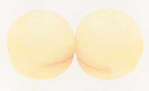hp_hashimotoiyo_4.jpg